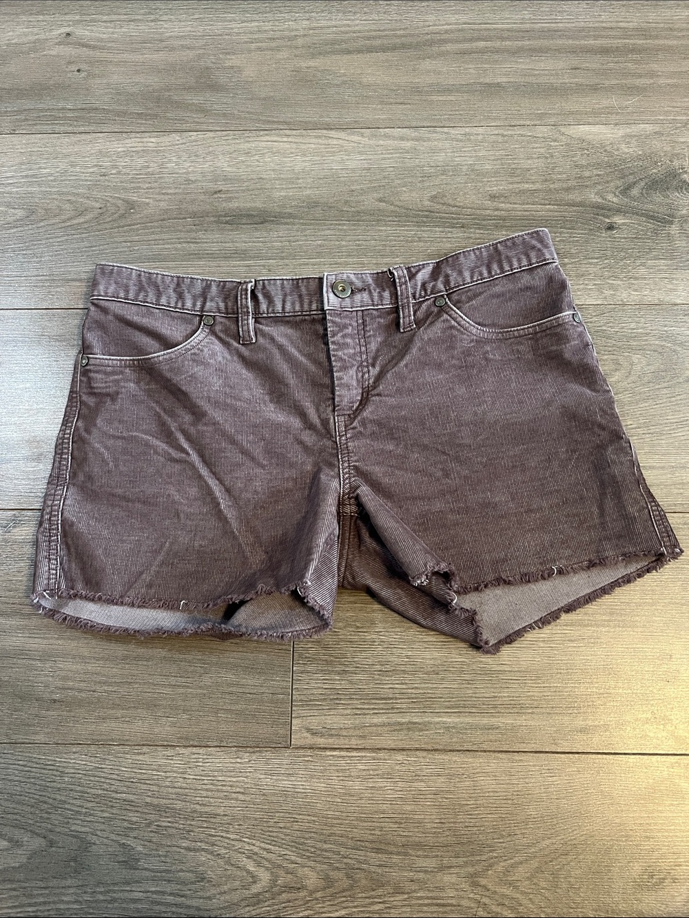 Carve Designs Oahu Shorts